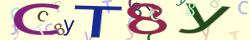 Retype the CAPTCHA code from the image