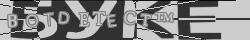 Retype the CAPTCHA code from the image